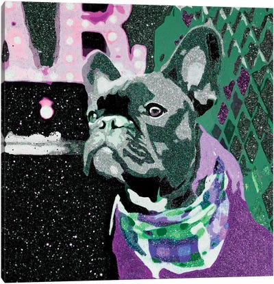Biggie In Purple Canvas Art Print - French Bulldog Art