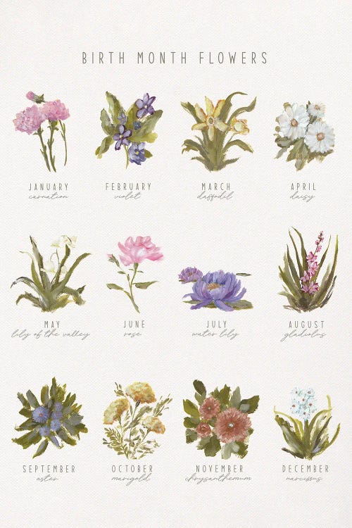 Birth Month Flowers by Amanda Hilburn wall art