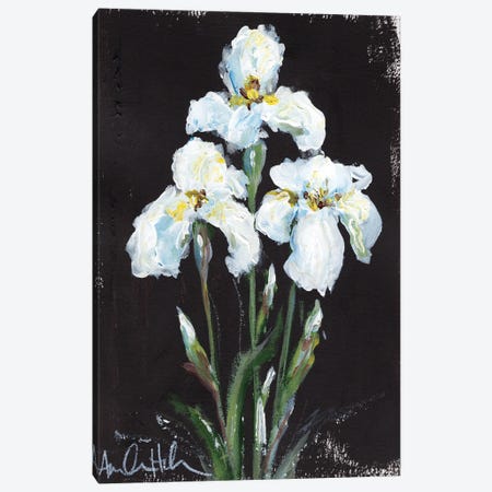 Contrasting Irises Canvas Print #AHP1} by Amanda Hilburn Canvas Print
