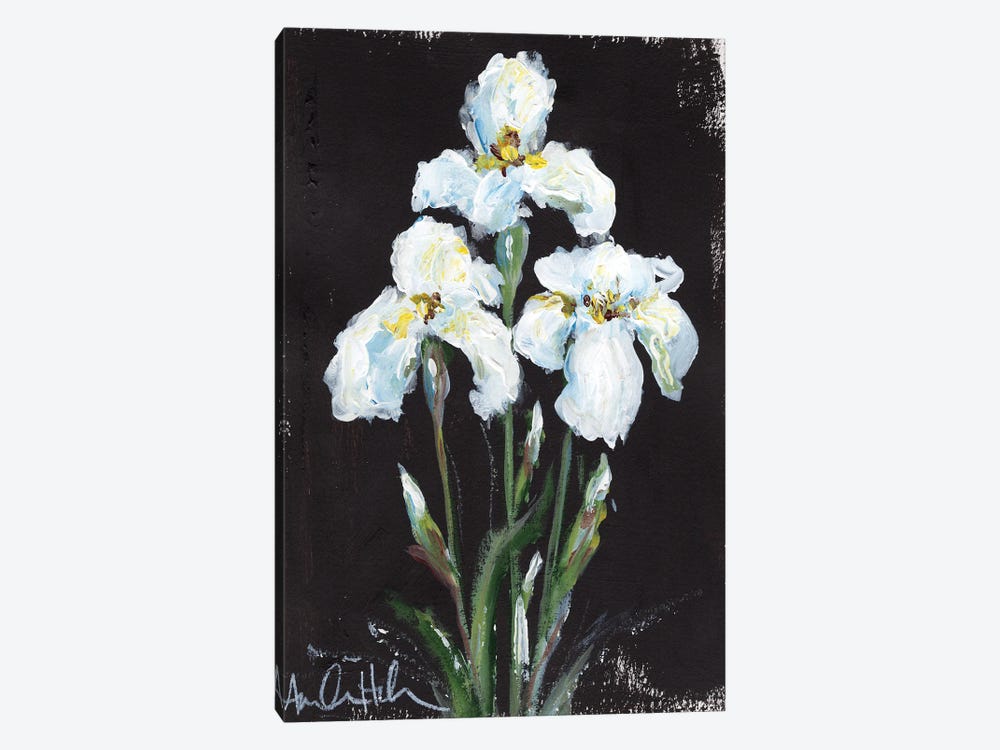 Contrasting Irises by Amanda Hilburn 1-piece Art Print