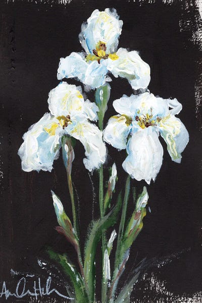 Amanda Hilburn: Contrasting Irises by Amanda Hilburn