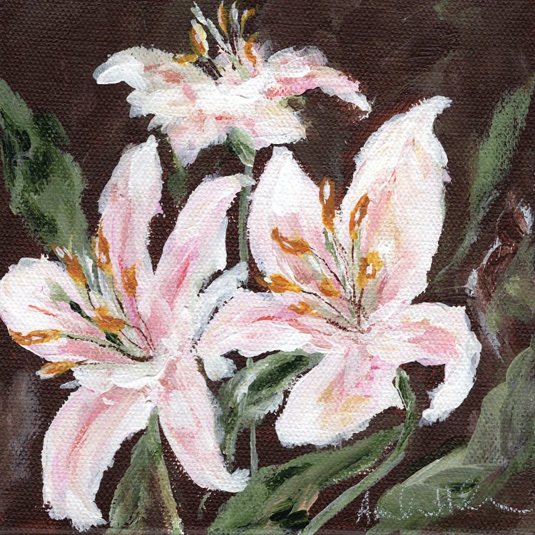 Stargazer Lily Trio