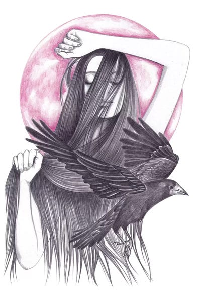 Crow Dance by Andrea Hrnjak framed canvas print