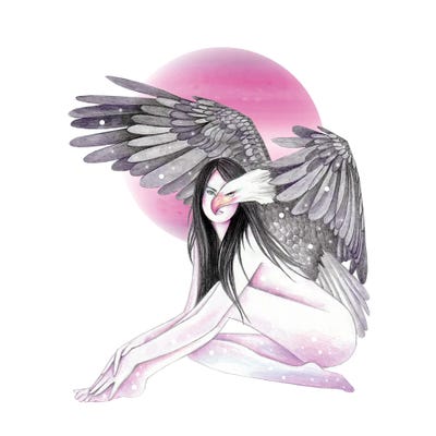 Eagle by Andrea Hrnjak framed canvas print