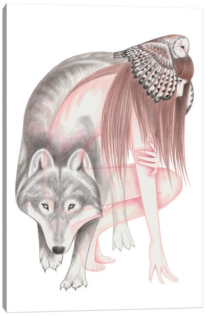 When Wolves Become Birds Canvas Art Print - Andrea Hrnjak