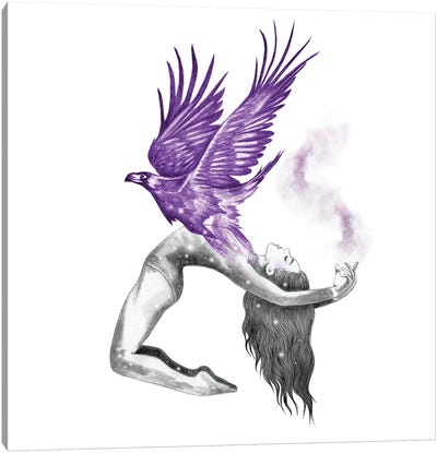 Eagles Fly Canvas Art Print - Andrea Hrnjak