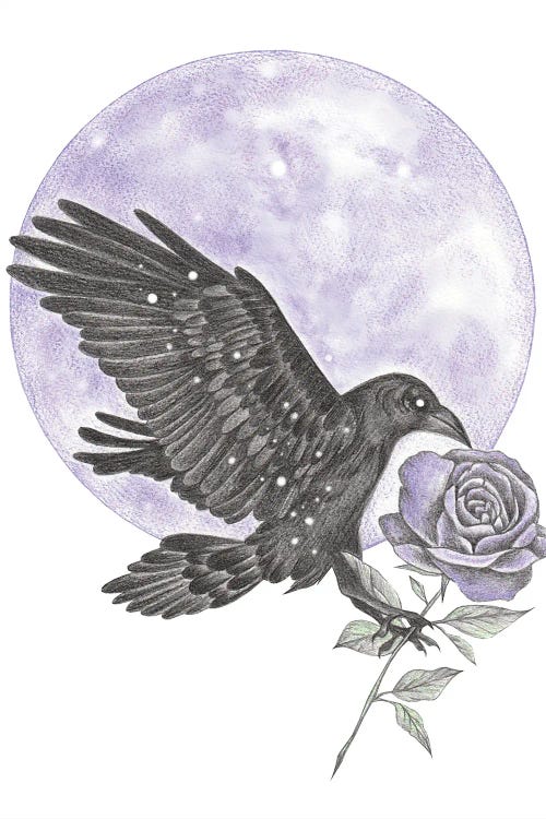 Raven Moon by Andrea Hrnjak wall art