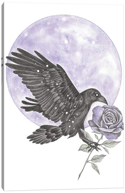 Raven Moon Canvas Art Print - Andrea Hrnjak