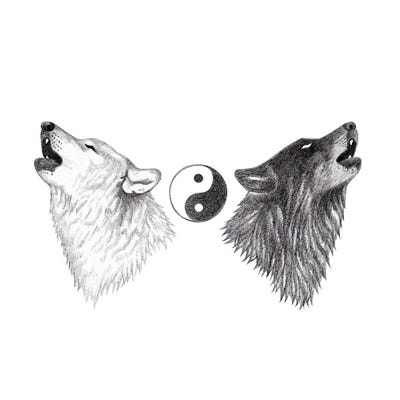 Black Wolf White Wolf by Andrea Hrnjak framed canvas print