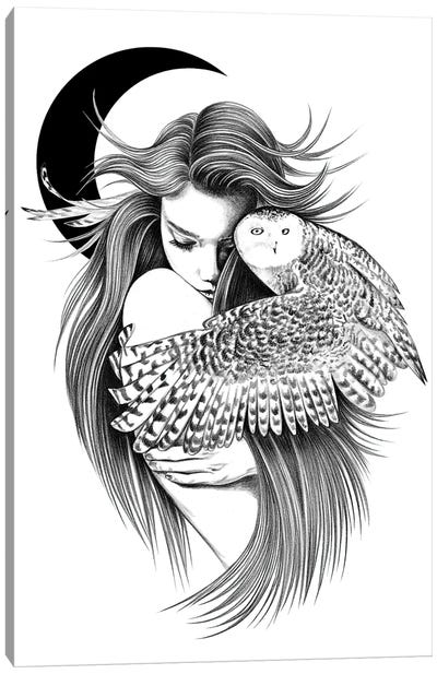 Kiss Canvas Art Print - Owls