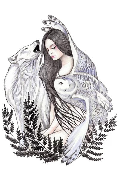 Forest by Andrea Hrnjak framed canvas print