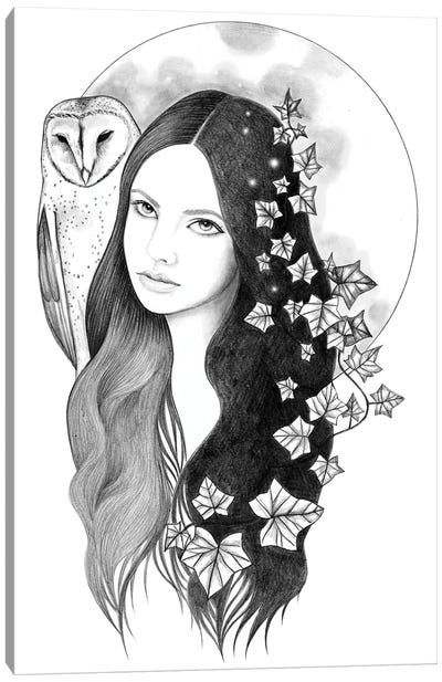 Night Bird Canvas Art Print - Andrea Hrnjak