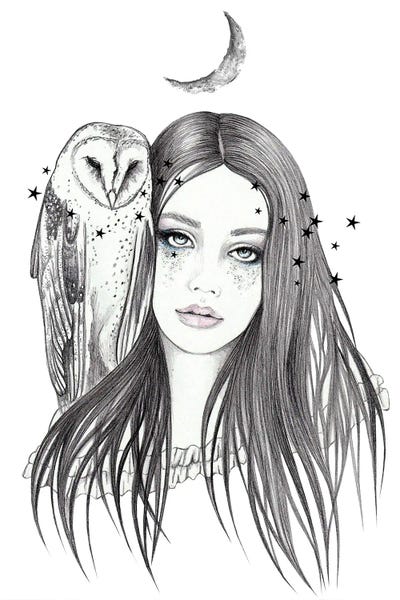 Barn Owl by Andrea Hrnjak framed canvas print