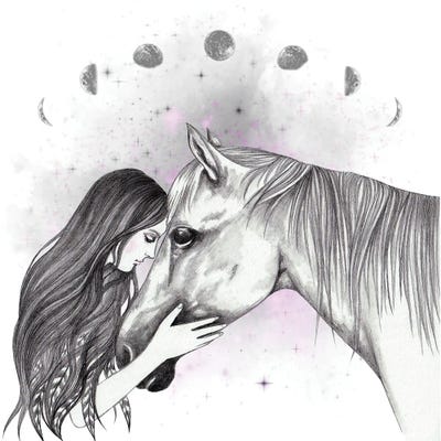 Horse And I by Andrea Hrnjak framed canvas print