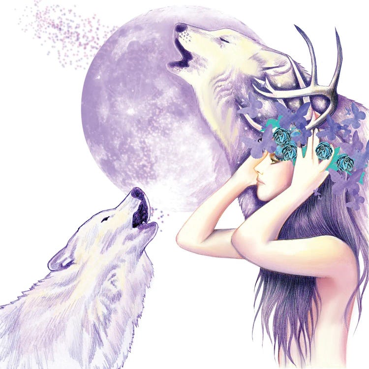 Wolf Full Moon by Andrea Hrnjak wall art