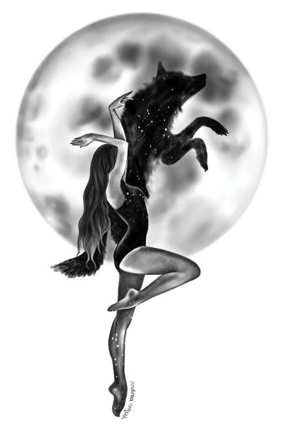 Shadow Moon by Andrea Hrnjak framed canvas print