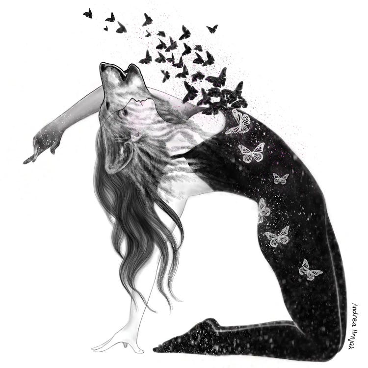 Black Butterfly by Andrea Hrnjak wall art