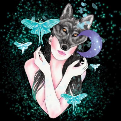 Mystic Moon by Andrea Hrnjak framed canvas print