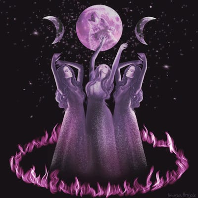 Sisters by Andrea Hrnjak framed canvas print