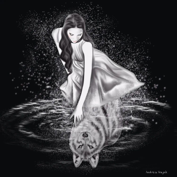 Reflection by Andrea Hrnjak wall art