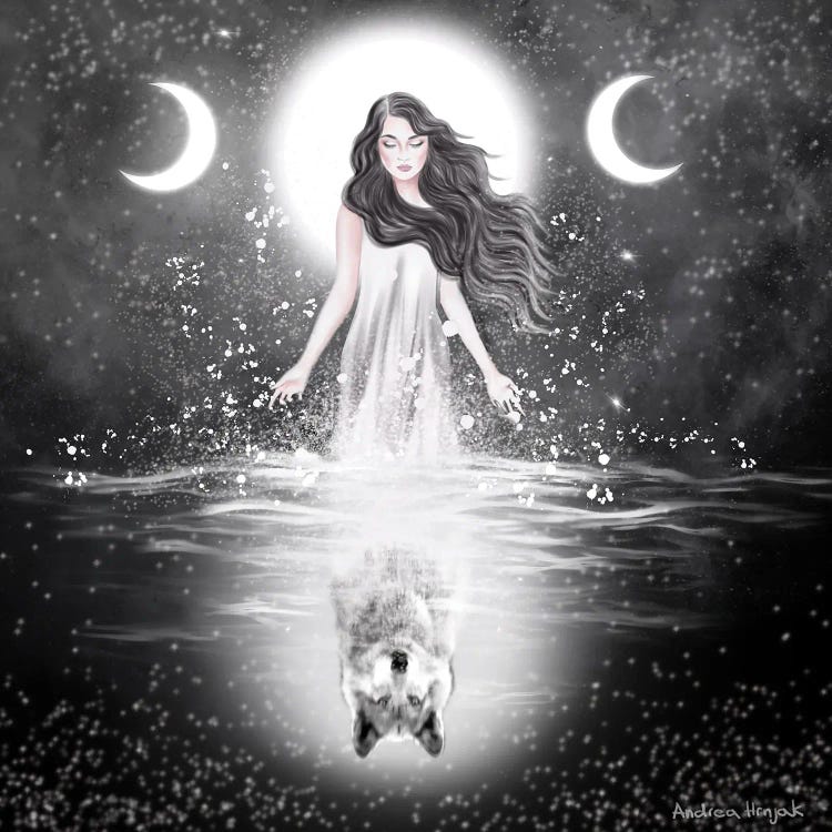 Moonlight by Andrea Hrnjak wall art