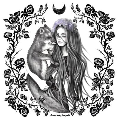 Dreamy Foxes by Andrea Hrnjak framed wall art