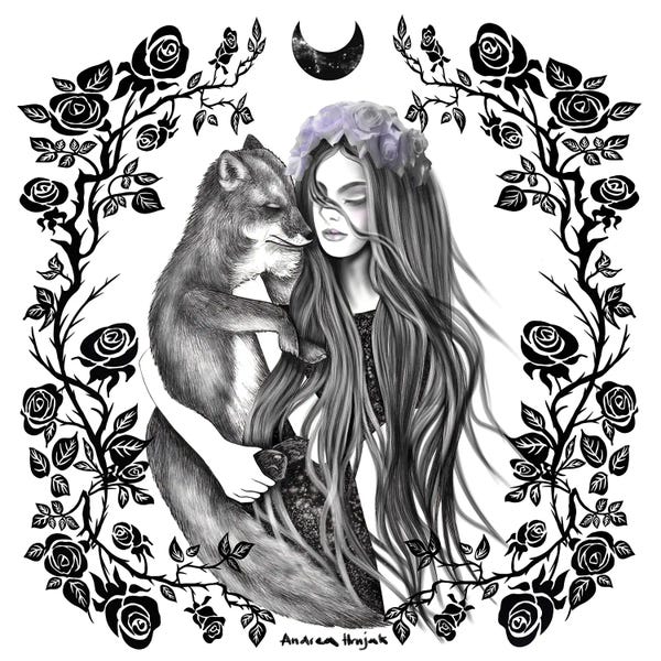 Witches: Dreamy Foxes by Andrea Hrnjak