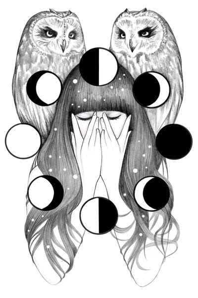 Moon Spells by Andrea Hrnjak framed canvas print