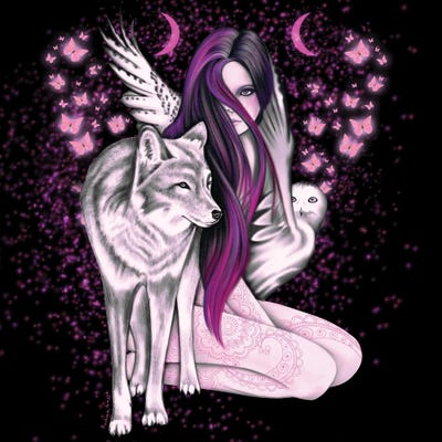 Mystic Nights by Andrea Hrnjak framed canvas print