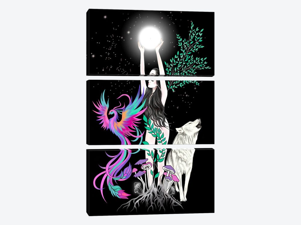 Midnight Dance by Andrea Hrnjak 3-piece Canvas Print