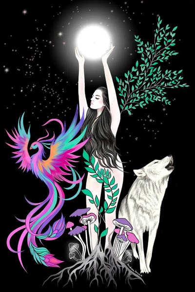 Phoenix: Midnight Dance by Andrea Hrnjak