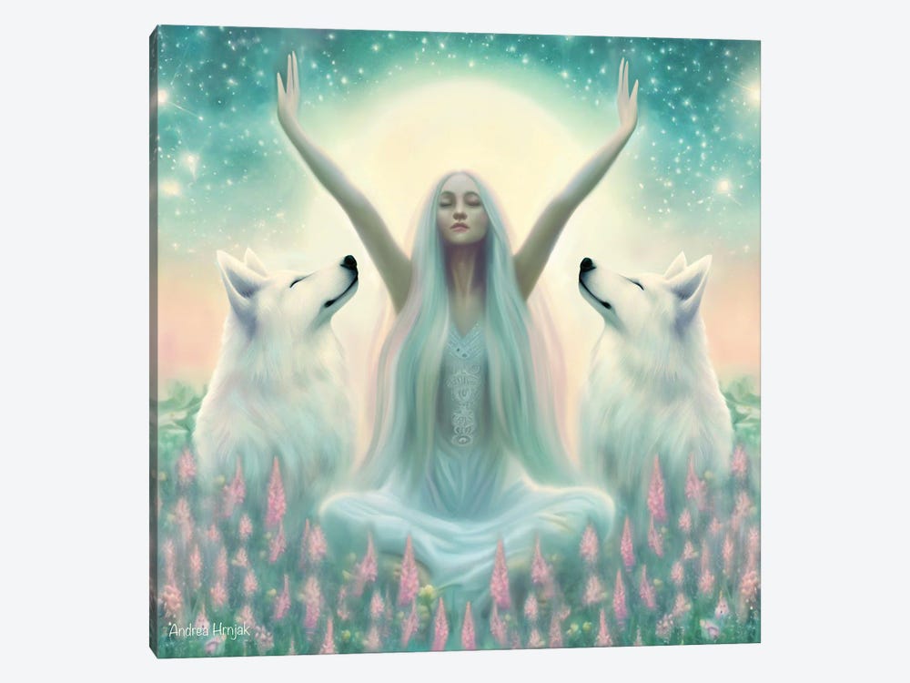 Wise Woman by Andrea Hrnjak 1-piece Canvas Wall Art