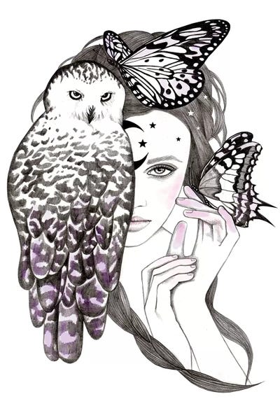 Night Owl by Andrea Hrnjak framed canvas print