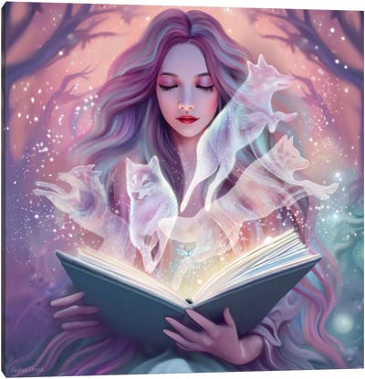 Book Of Magic Canvas Art Print - Andrea Hrnjak