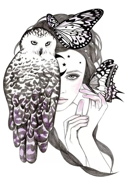 Night Owl by Andrea Hrnjak wall art