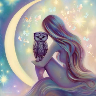 Eyes Of Twilight by Andrea Hrnjak framed canvas print