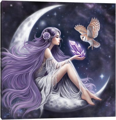 New Moon Whispers Canvas Art Print - Andrea Hrnjak