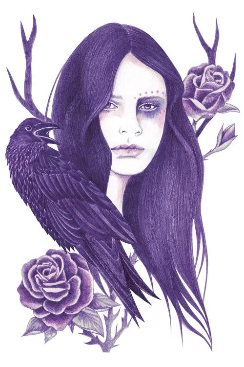 Raven by Andrea Hrnjak wall art