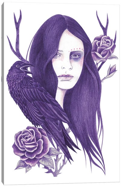 Raven Canvas Art Print - Raven Art