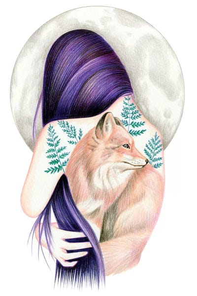 Red Fox by Andrea Hrnjak framed canvas print