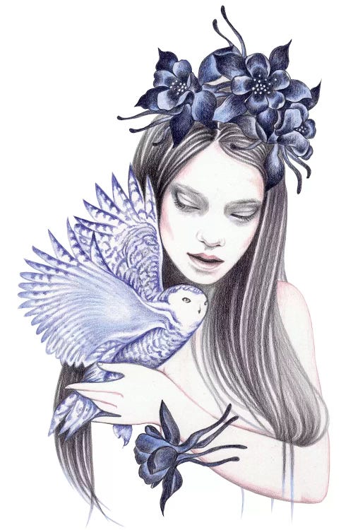 Wild Flower by Andrea Hrnjak wall art