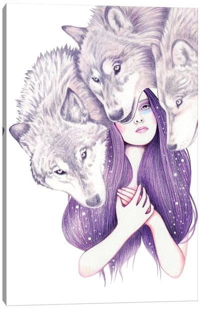 Wolf Pack Canvas Art Print - Andrea Hrnjak
