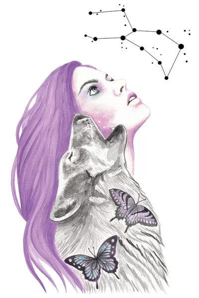 Written In The Stars by Andrea Hrnjak framed canvas print