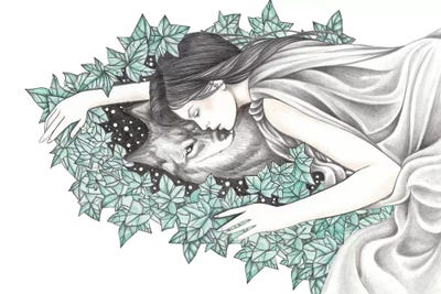 Spirit Wolf by Andrea Hrnjak framed canvas print