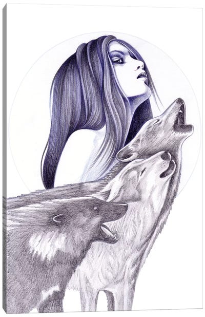 Call Of The Wolves Canvas Art Print - Andrea Hrnjak