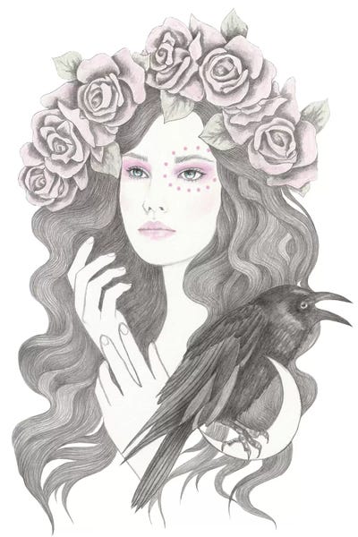 Blackbird by Andrea Hrnjak framed canvas print