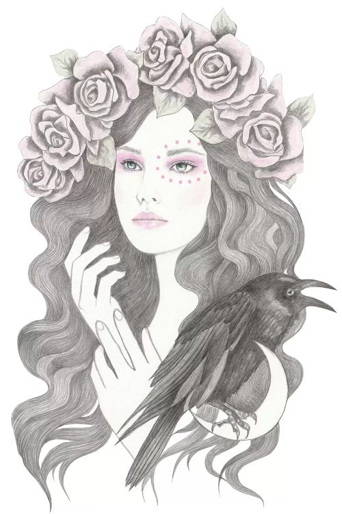 Blackbird by Andrea Hrnjak wall art