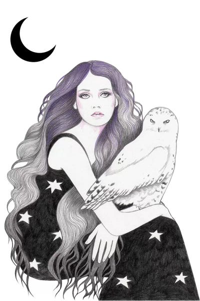 White Owl by Andrea Hrnjak framed canvas print