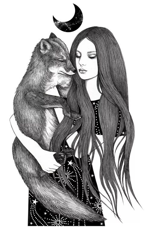 Night Foxes by Andrea Hrnjak wall art
