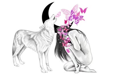 Butterfly Effect by Andrea Hrnjak framed canvas print